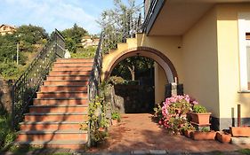 Biologico Dell'Etna