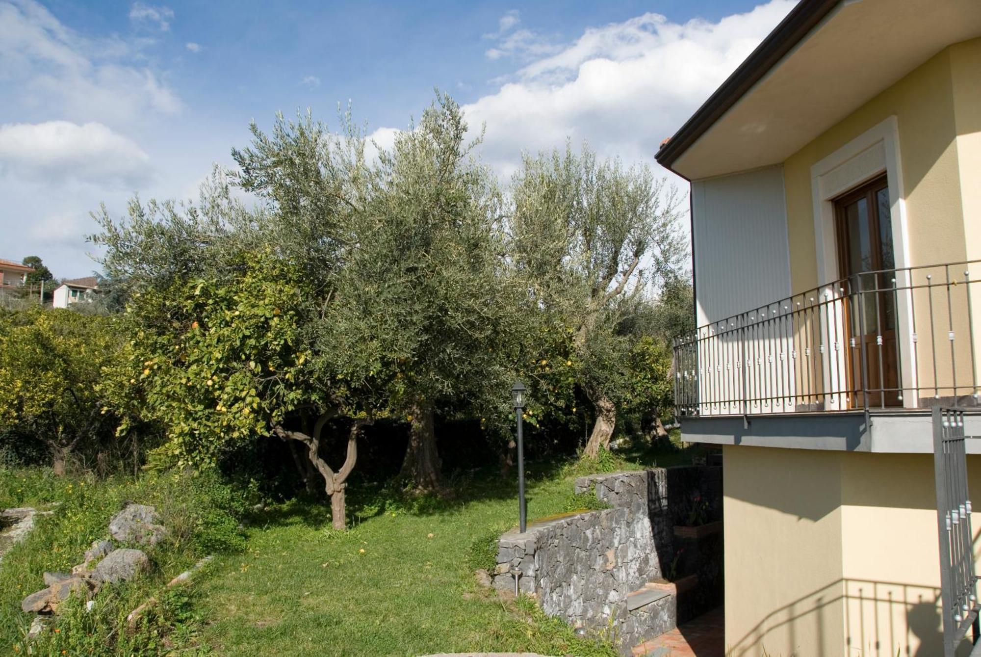 Biologico Dell'Etna Villa Trecastagni Exterior photo